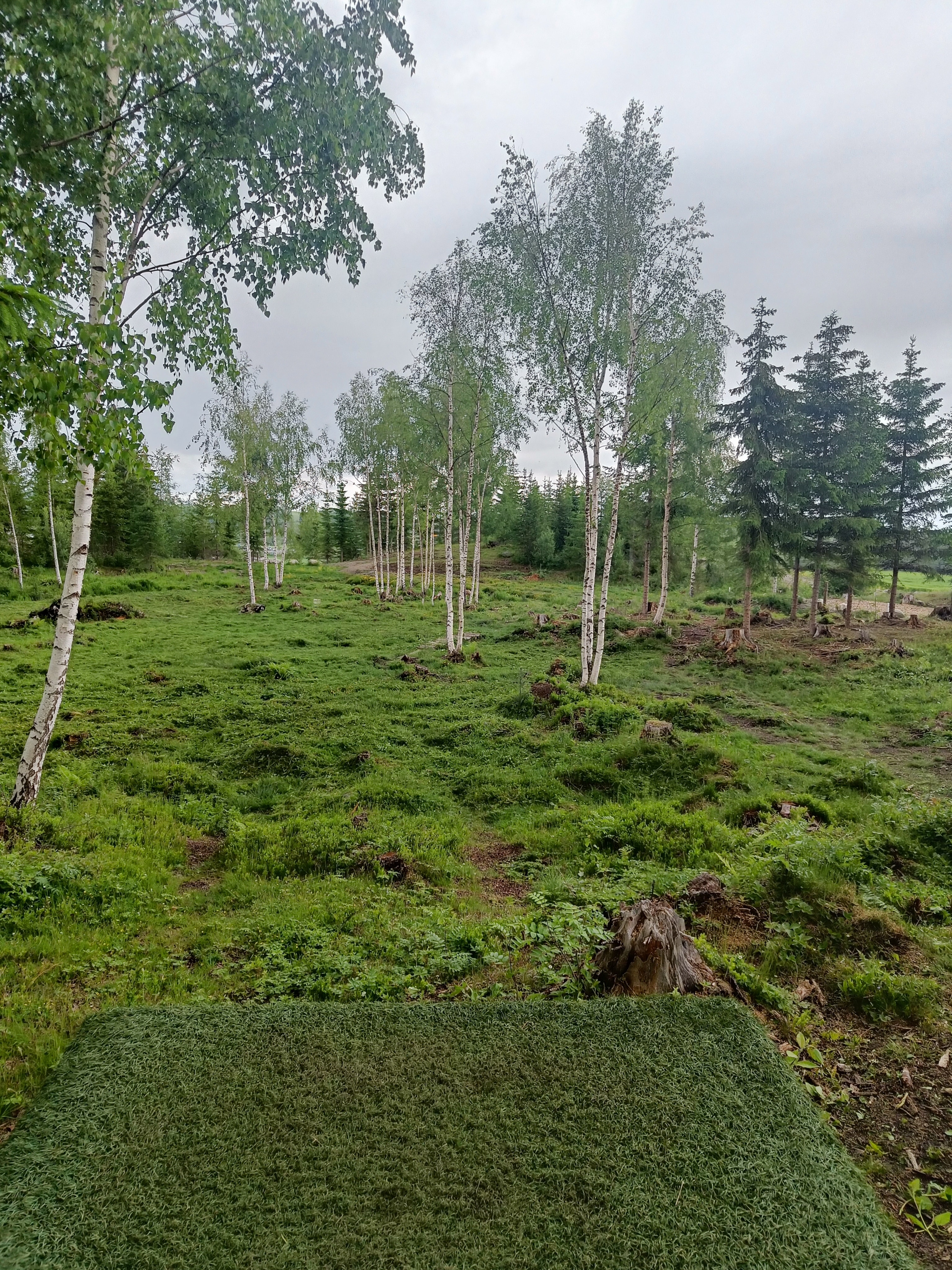 Ukesgolf runde 3 og nye endringer på banen